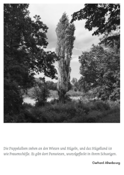 MO.146 Gerhard Altenbourg