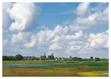 Greifswald – Nr. 368