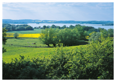 Neustrelitz – Nr. 214