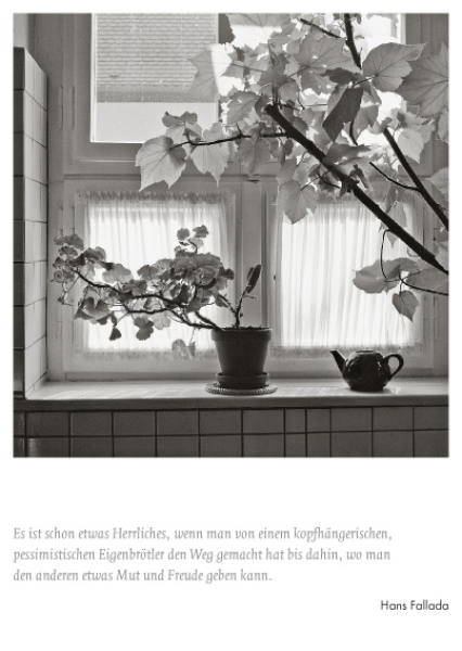 MO.072 Hans Fallada