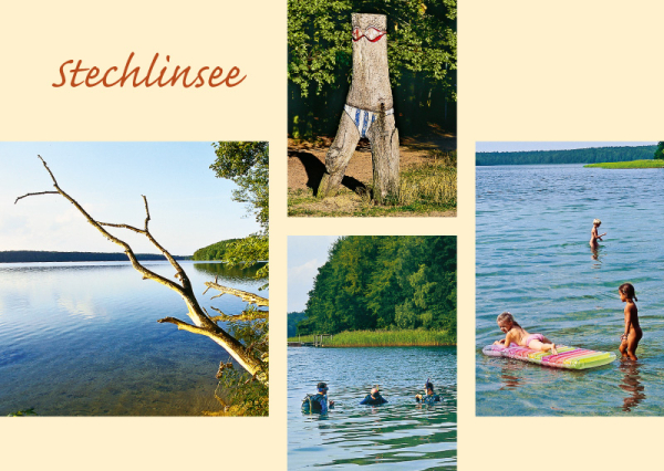 Stechlinsee – Nr. 239